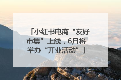 小红书电商“友好市集”上线，6月将举办“开业活动”