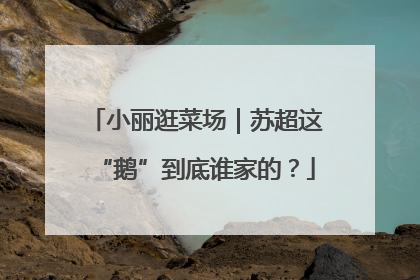 小丽逛菜场｜苏超这“鹅”到底谁家的？