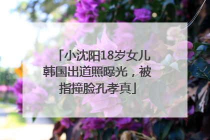 小沈阳18岁女儿韩国出道照曝光，被指撞脸孔孝真