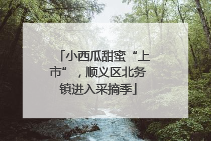 小西瓜甜蜜“上市”，顺义区北务镇进入采摘季