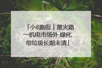 小8跑街｜星火路一机电市场外 绿化带垃圾长期未清