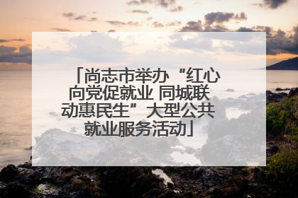 尚志市举办“红心向党促就业 同城联动惠民生”大型公共就业服务活动