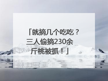 就摘几个吃吃？三人偷摘230余斤桃被抓！