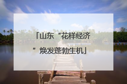 山东“花样经济”焕发蓬勃生机