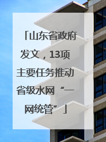 山东省政府发文，13项主要任务推动省级水网“一网统管”