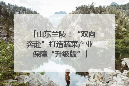 山东兰陵:“双向奔赴”打造蔬菜产业保障“升级版”