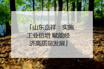 山东嘉祥：实施工业倍增 赋能经济高质量发展