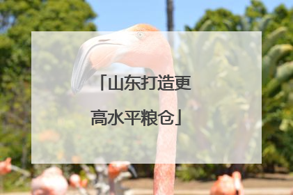 山东打造更高水平粮仓