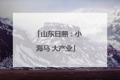 山东日照：小海马 大产业