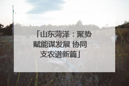 山东菏泽：聚势赋能谋发展 协同支农谱新篇