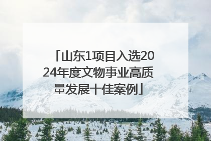 山东1项目入选2024年度文物事业高质量发展十佳案例
