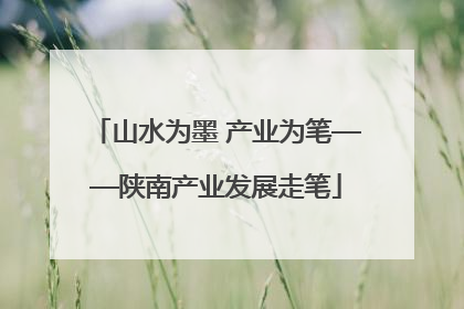 山水为墨 产业为笔——陕南产业发展走笔