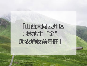 山西大同云州区：林地生“金” 助农增收前景旺