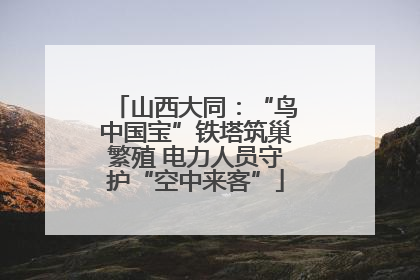 山西大同：“鸟中国宝”铁塔筑巢繁殖 电力人员守护“空中来客”