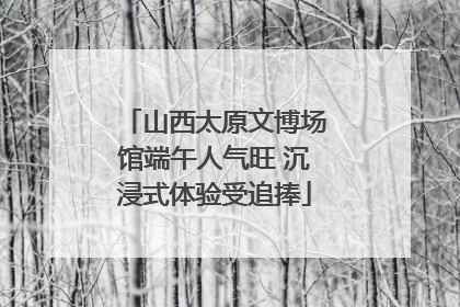 山西太原文博场馆端午人气旺 沉浸式体验受追捧