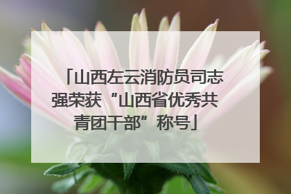 山西左云消防员司志强荣获“山西省优秀共青团干部”称号