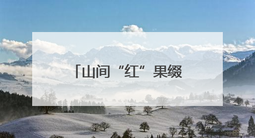 山间“红”果缀 致富“梅”香飘& 8203