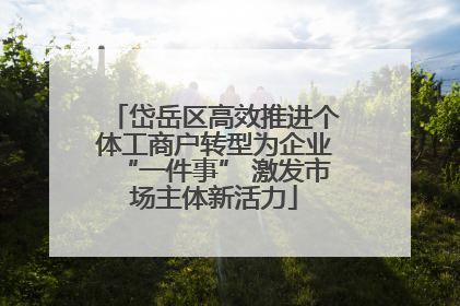 岱岳区高效推进个体工商户转型为企业“一件事” 激发市场主体新活力