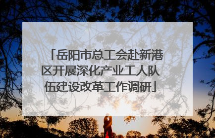 岳阳市总工会赴新港区开展深化产业工人队伍建设改革工作调研