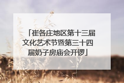 崔各庄地区第十三届文化艺术节暨第三十四届奶子房庙会开锣