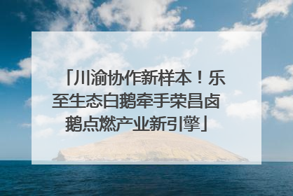 川渝协作新样本！乐至生态白鹅牵手荣昌卤鹅点燃产业新引擎