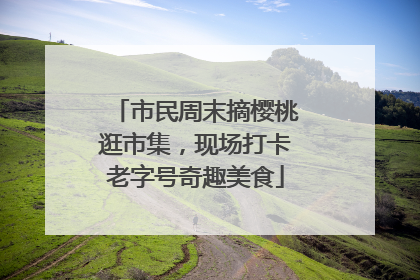 市民周末摘樱桃逛市集，现场打卡老字号奇趣美食