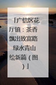 广信区花厅镇：茶香飘出致富路 绿水青山绘新篇（图）