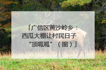 广信区黄沙岭乡：西瓜大棚让村民日子“顶呱呱”（图）