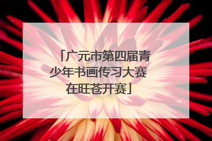 广元市第四届青少年书画传习大赛在旺苍开赛