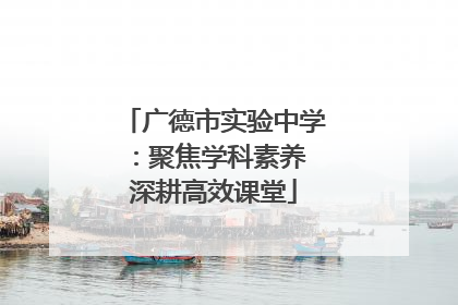广德市实验中学：聚焦学科素养 深耕高效课堂
