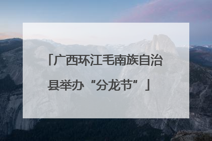 广西环江毛南族自治县举办“分龙节”