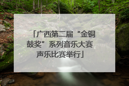 广西第二届“金铜鼓奖”系列音乐大赛声乐比赛举行