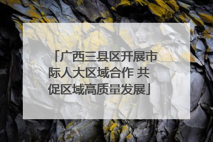 广西三县区开展市际人大区域合作 共促区域高质量发展