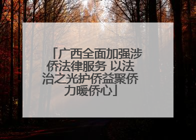 广西全面加强涉侨法律服务 以法治之光护侨益聚侨力暖侨心