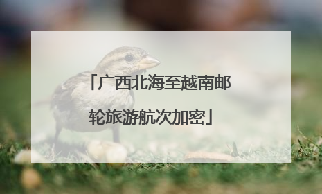 广西北海至越南邮轮旅游航次加密