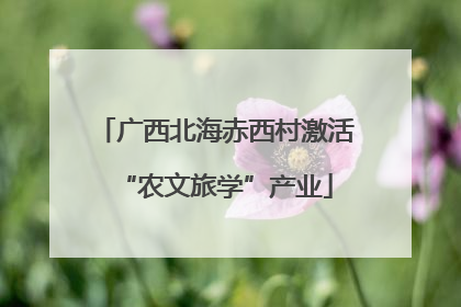 广西北海赤西村激活“农文旅学”产业