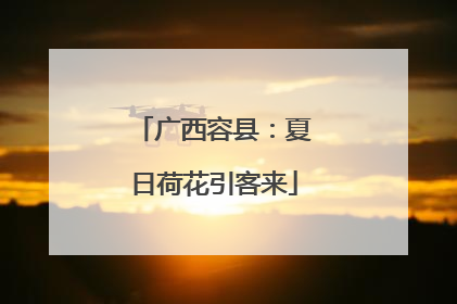 广西容县：夏日荷花引客来