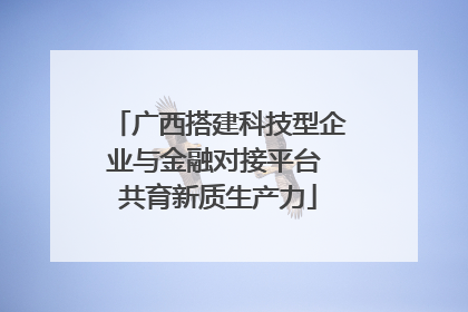 广西搭建科技型企业与金融对接平台 共育新质生产力