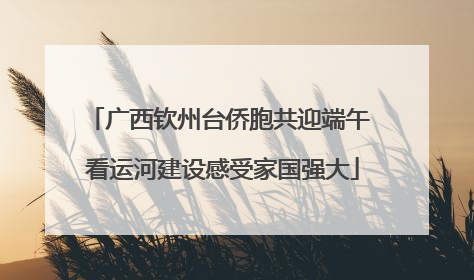 广西钦州台侨胞共迎端午 看运河建设感受家国强大