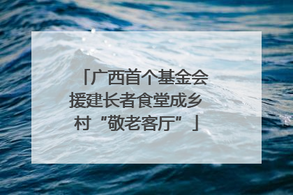 广西首个基金会援建长者食堂成乡村“敬老客厅”