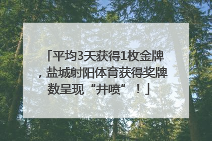 平均3天获得1枚金牌，盐城射阳体育获得奖牌数呈现“井喷”！