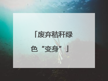 废弃秸秆绿色“变身”