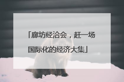廊坊经洽会，赶一场国际化的经济大集