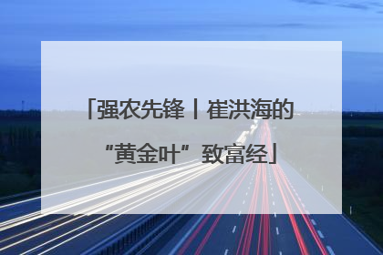 强农先锋丨崔洪海的“黄金叶”致富经