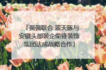 强强联合 蓝天豚与安徽头部装企荣锋装饰集团达成战略合作
