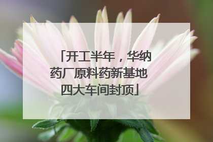 开工半年，华纳药厂原料药新基地四大车间封顶