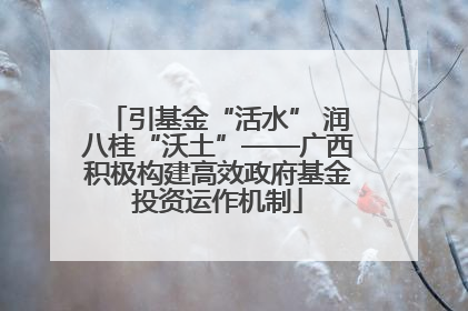 引基金“活水” 润八桂“沃土”——广西积极构建高效政府基金投资运作机制