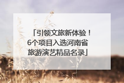 引领文旅新体验！6个项目入选河南省旅游演艺精品名录
