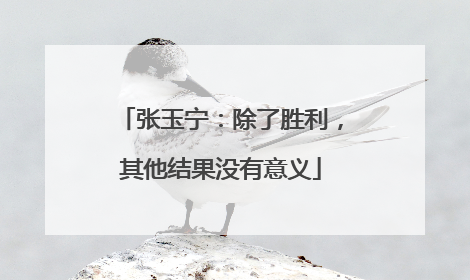 张玉宁：除了胜利，其他结果没有意义