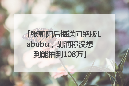 张朝阳后悔送回绝版Labubu，胡润称没想到能拍到108万